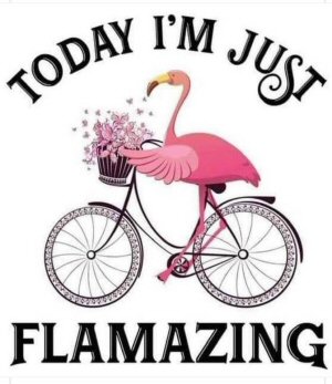 flamingo