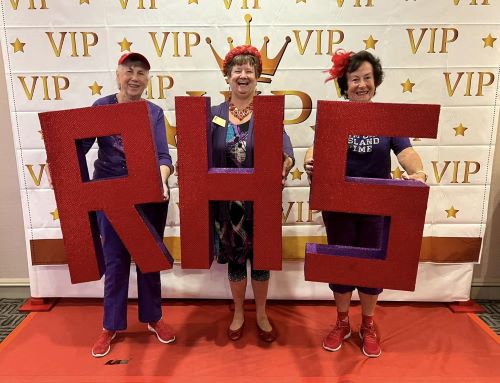 vip